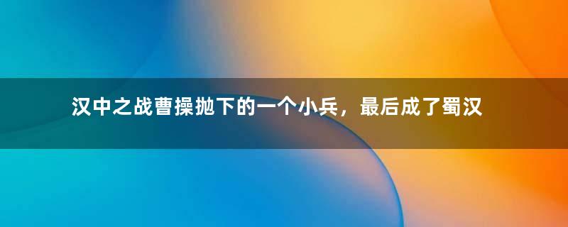 汉中之战曹操抛下的一个小兵，最后成了蜀汉名将