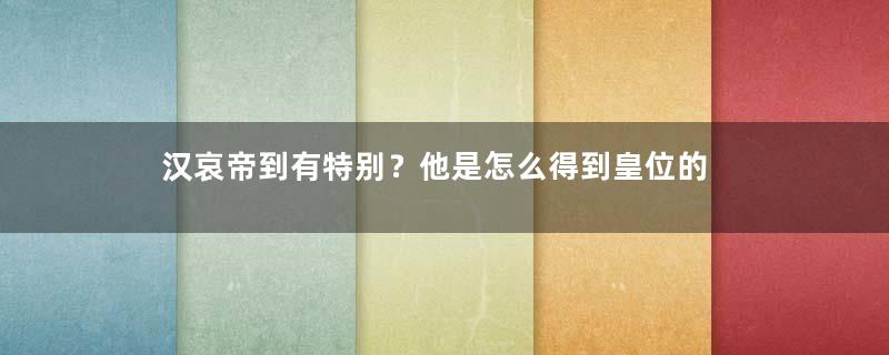 汉哀帝到有特别？他是怎么得到皇位的