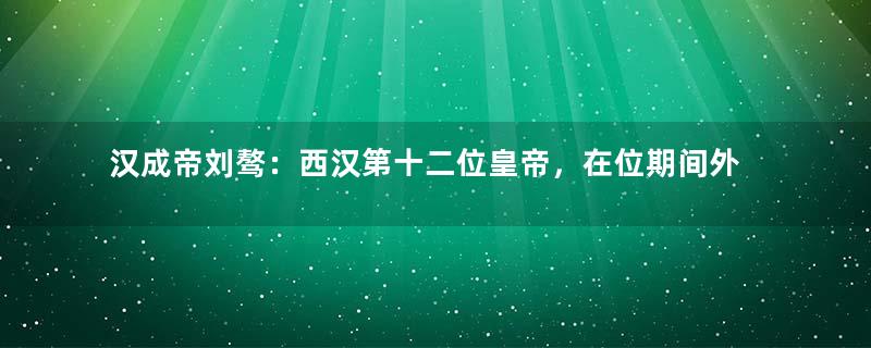 汉成帝刘骜：西汉第十二位皇帝，在位期间外戚擅政为王莽篡汉埋下祸根