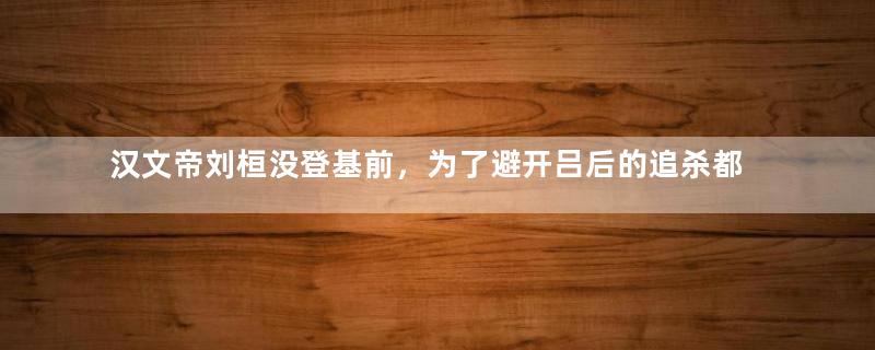 汉文帝刘桓没登基前，为了避开吕后的追杀都做了些什么？北境苦寒之地