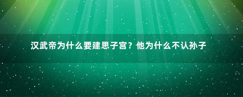 汉武帝为什么要建思子宫？他为什么不认孙子刘病已