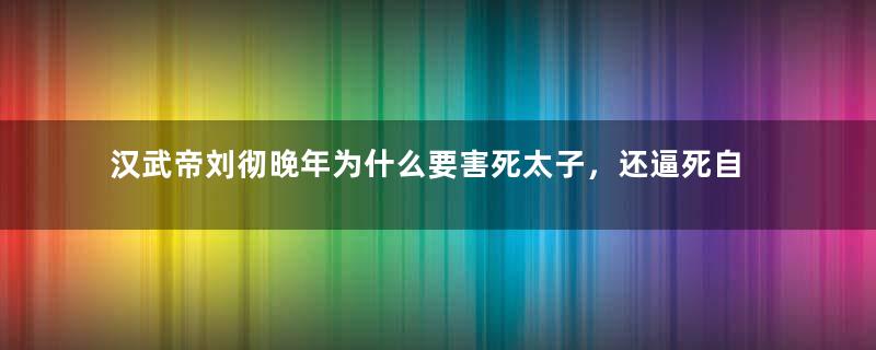 汉武帝刘彻晚年为什么要害死太子，还逼死自己的皇后？