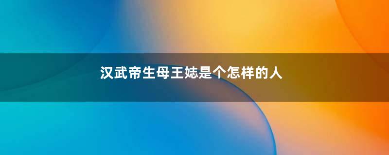 汉武帝生母王娡是个怎样的人