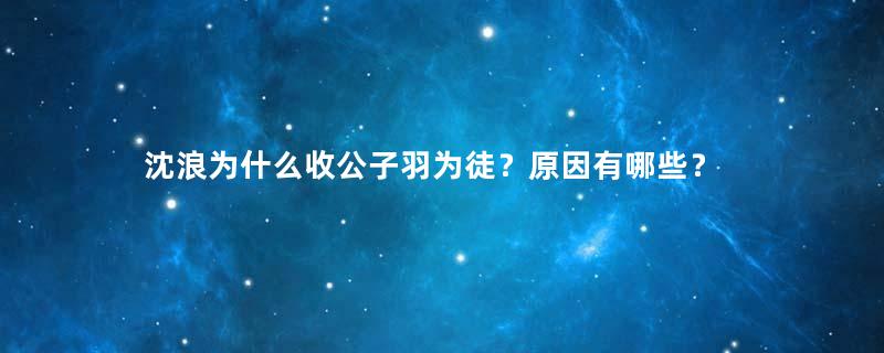 沈浪为什么收公子羽为徒？原因有哪些？