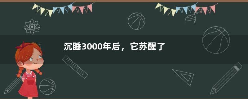 沉睡3000年后，它苏醒了