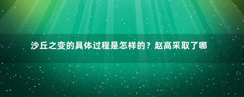 沙丘之变的具体过程是怎样的？赵高采取了哪些行动？