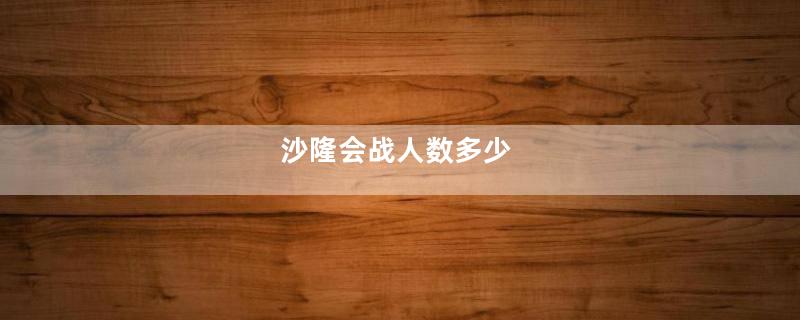 沙隆会战人数多少
