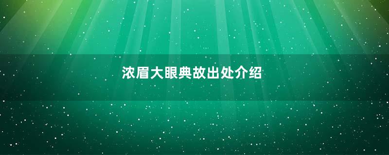 浓眉大眼典故出处介绍