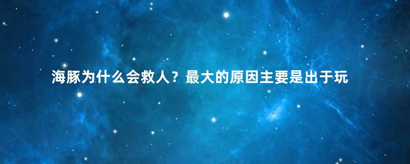 海豚为什么会救人？最大的原因主要是出于玩耍的天性