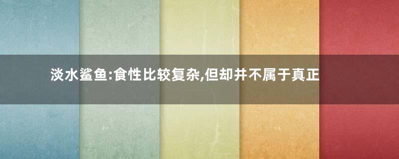 淡水鲨鱼:食性比较复杂,但却并不属于真正的鲨鱼