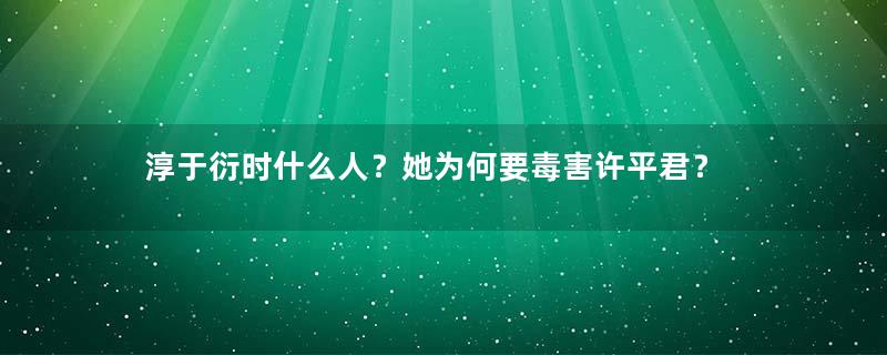 淳于衍时什么人？她为何要毒害许平君？