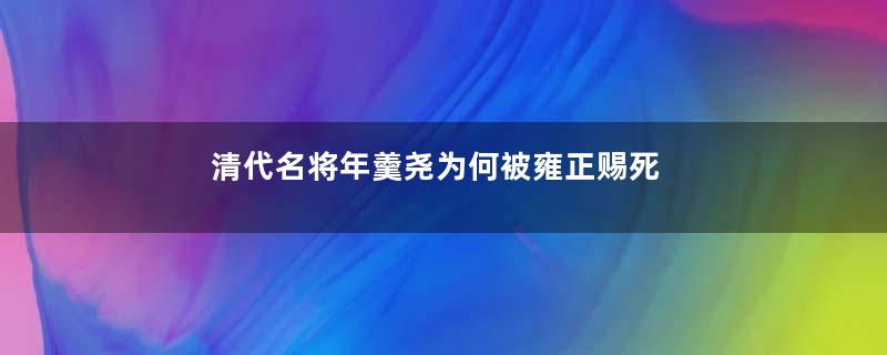 清代名将年羹尧为何被雍正赐死