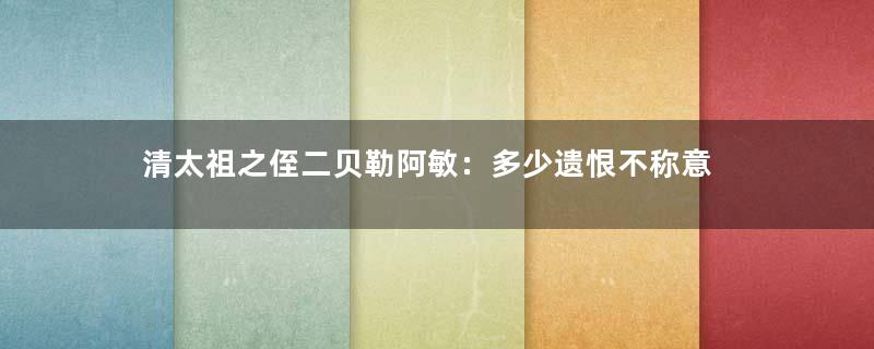 清太祖之侄二贝勒阿敏：多少遗恨不称意