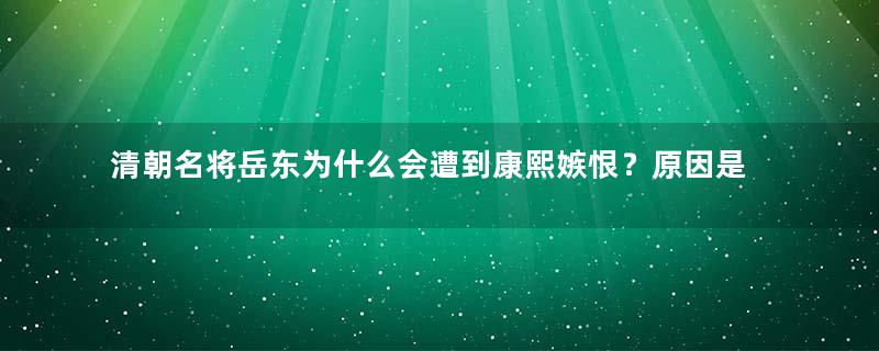 清朝名将岳东为什么会遭到康熙嫉恨？原因是什么