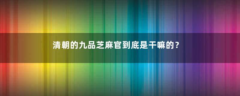 清朝的九品芝麻官到底是干嘛的？