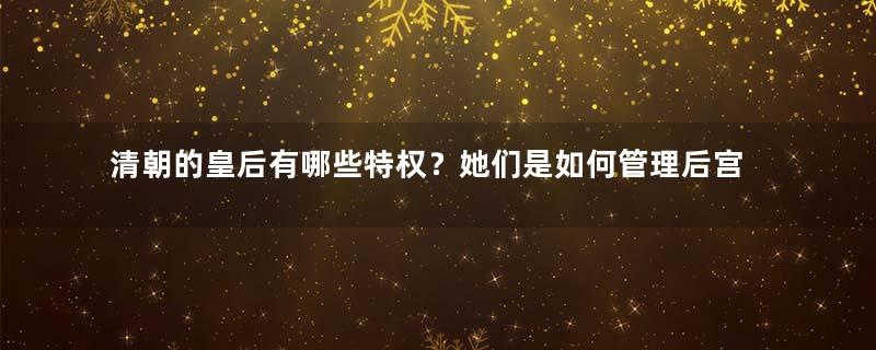 清朝的皇后有哪些特权？她们是如何管理后宫的？