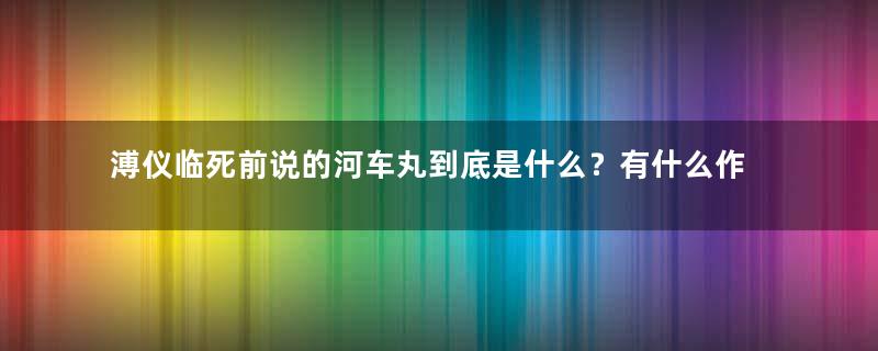 溥仪临死前说的河车丸到底是什么？有什么作用