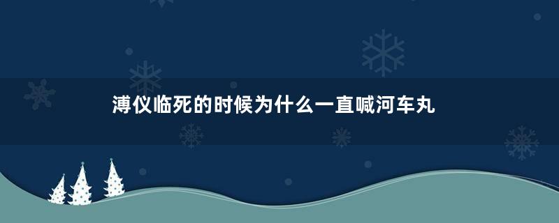 溥仪临死的时候为什么一直喊河车丸