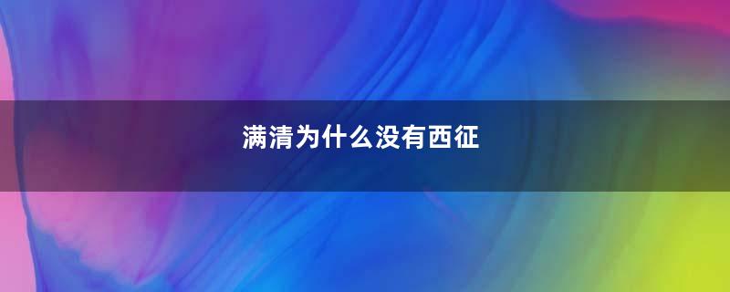 满清为什么没有西征