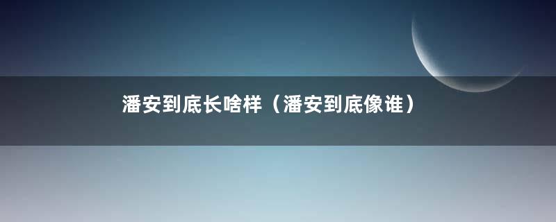 潘安到底长啥样（潘安到底像谁）