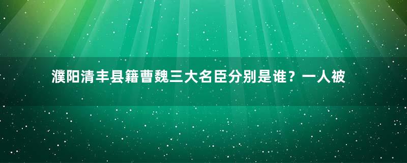 濮阳清丰县籍曹魏三大名臣分别是谁？一人被诸葛亮族人所害