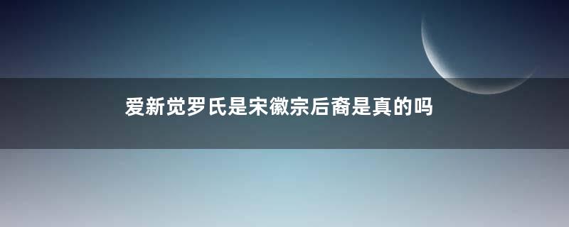 爱新觉罗氏是宋徽宗后裔是真的吗