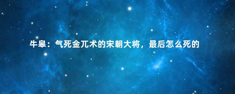 牛皋：气死金兀术的宋朝大将，最后怎么死的？