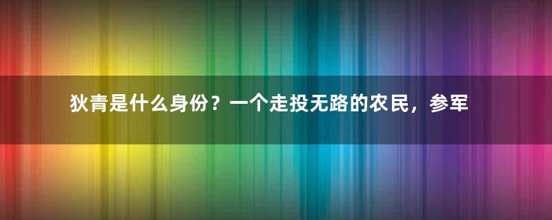 狄青是什么身份？一个走投无路的农民，参军成一代名将