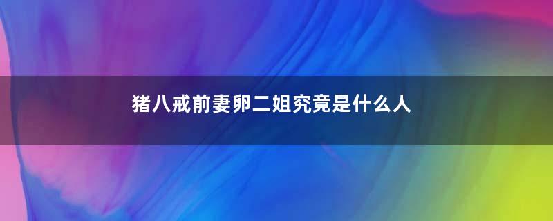 猪八戒前妻卵二姐究竟是什么人