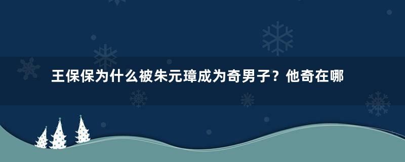 王保保为什么被朱元璋成为奇男子？他奇在哪些地方？