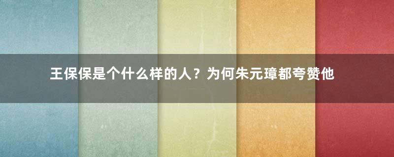 王保保是个什么样的人？为何朱元璋都夸赞他？