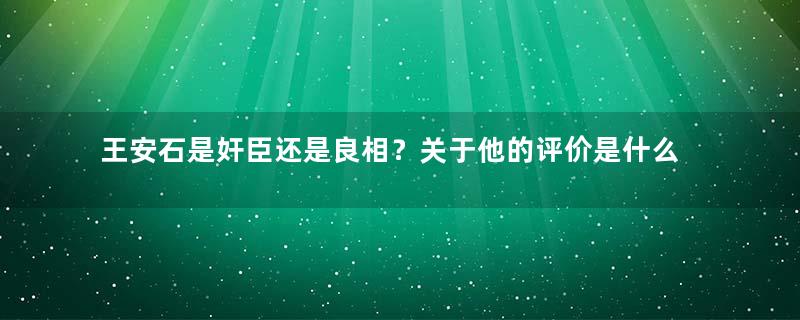 王安石是奸臣还是良相？关于他的评价是什么样的