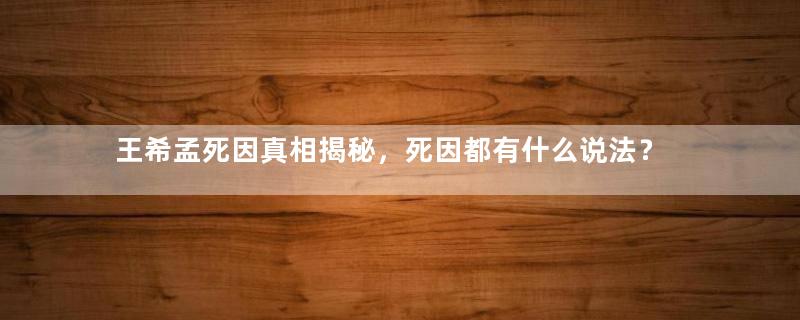 王希孟死因真相揭秘，死因都有什么说法？