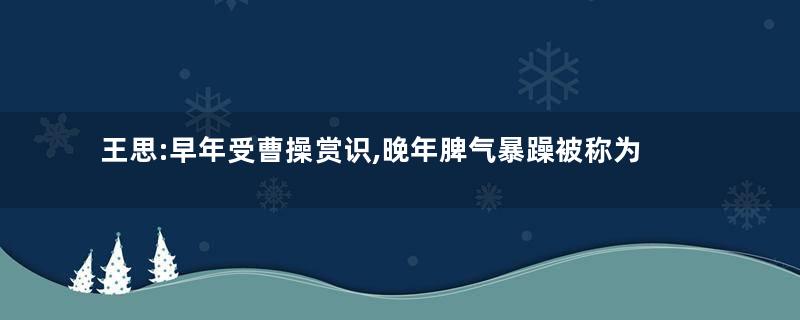 王思:早年受曹操赏识,晚年脾气暴躁被称为苛吏
