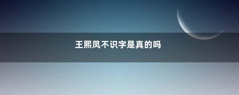 王熙凤不识字是真的吗