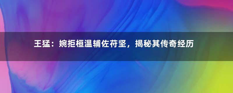 王猛：婉拒桓温辅佐苻坚，揭秘其传奇经历