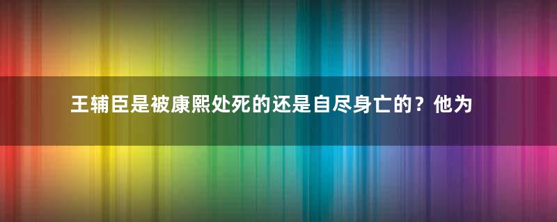 王辅臣是被康熙处死的还是自尽身亡的？他为什么要这么做？