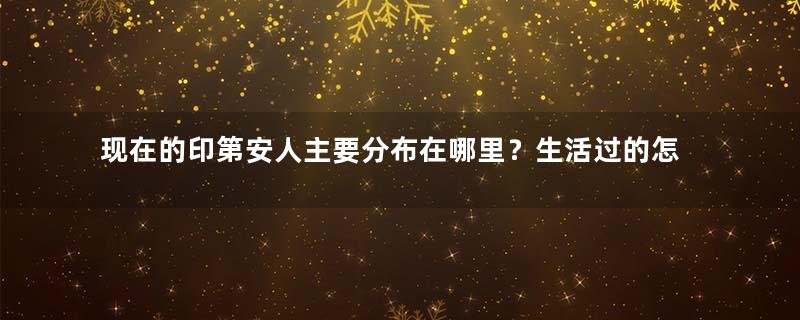 现在的印第安人主要分布在哪里？生活过的怎么样？