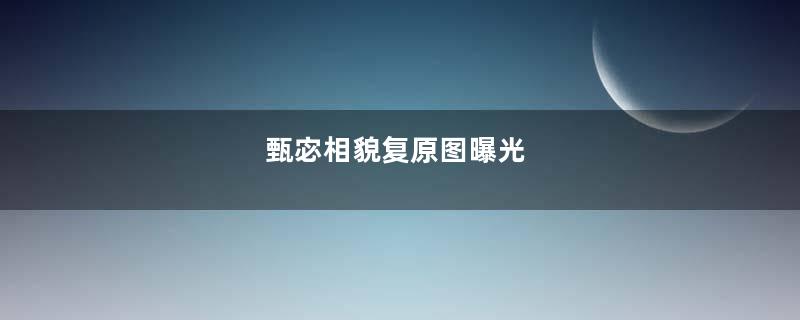 甄宓相貌复原图曝光