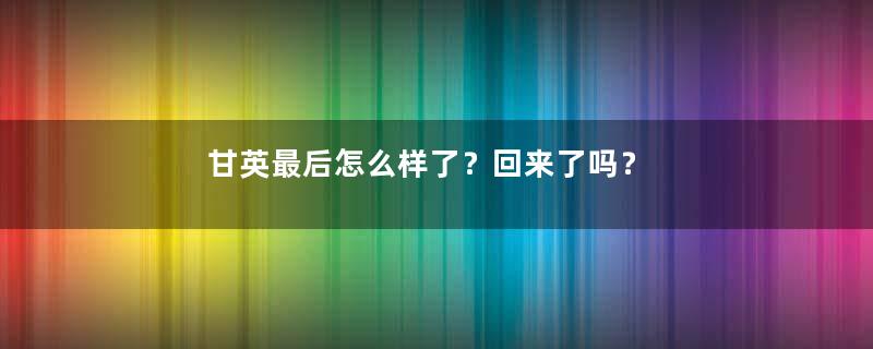 甘英最后怎么样了？回来了吗？