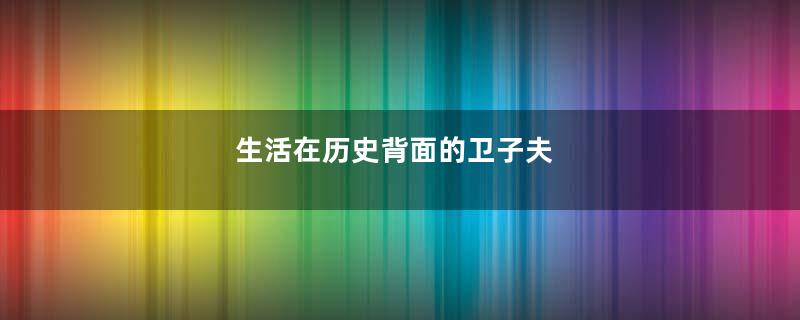 生活在历史背面的卫子夫