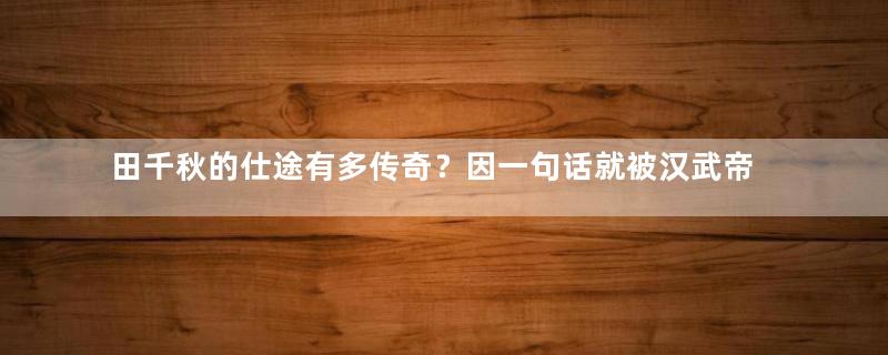 田千秋的仕途有多传奇？因一句话就被汉武帝封为丞相