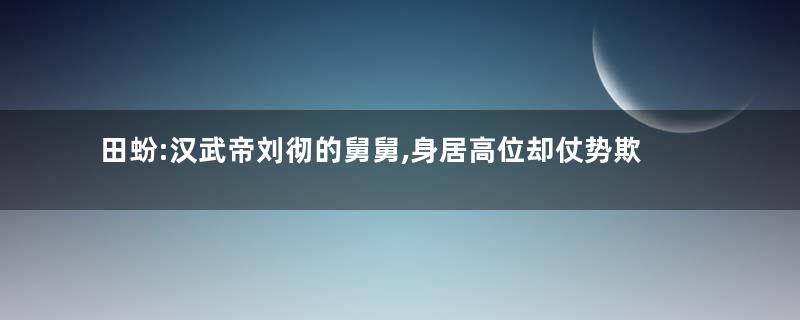 田蚡:汉武帝刘彻的舅舅,身居高位却仗势欺人