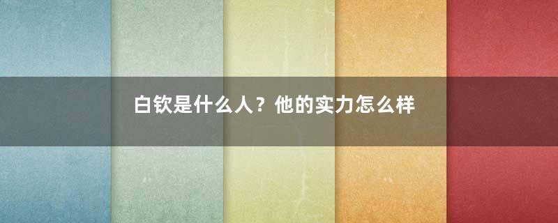 白钦是什么人？他的实力怎么样