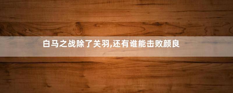 白马之战除了关羽,还有谁能击败颜良