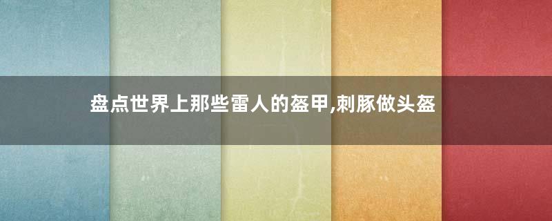 盘点世界上那些雷人的盔甲,刺豚做头盔