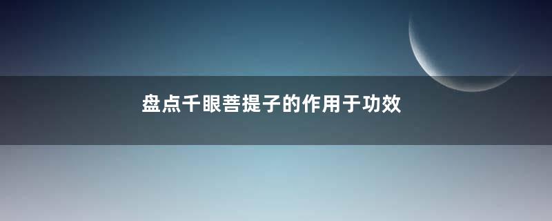 盘点千眼菩提子的作用于功效