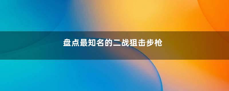 盘点最知名的二战狙击步枪