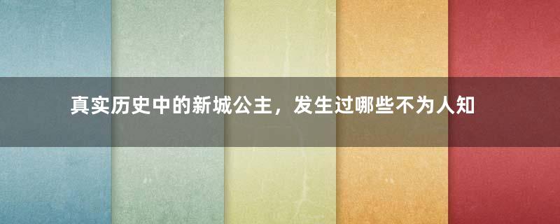 真实历史中的新城公主，发生过哪些不为人知的故事？