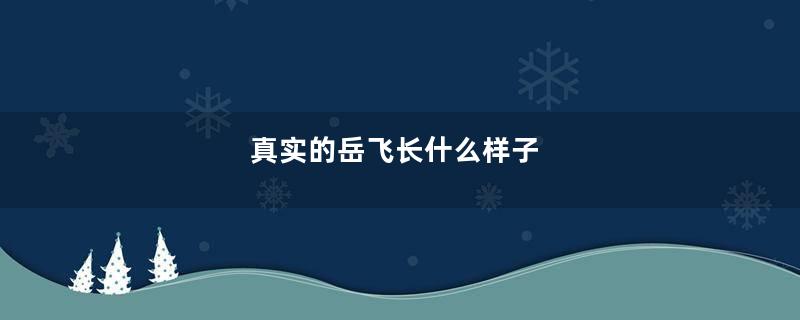 真实的岳飞长什么样子